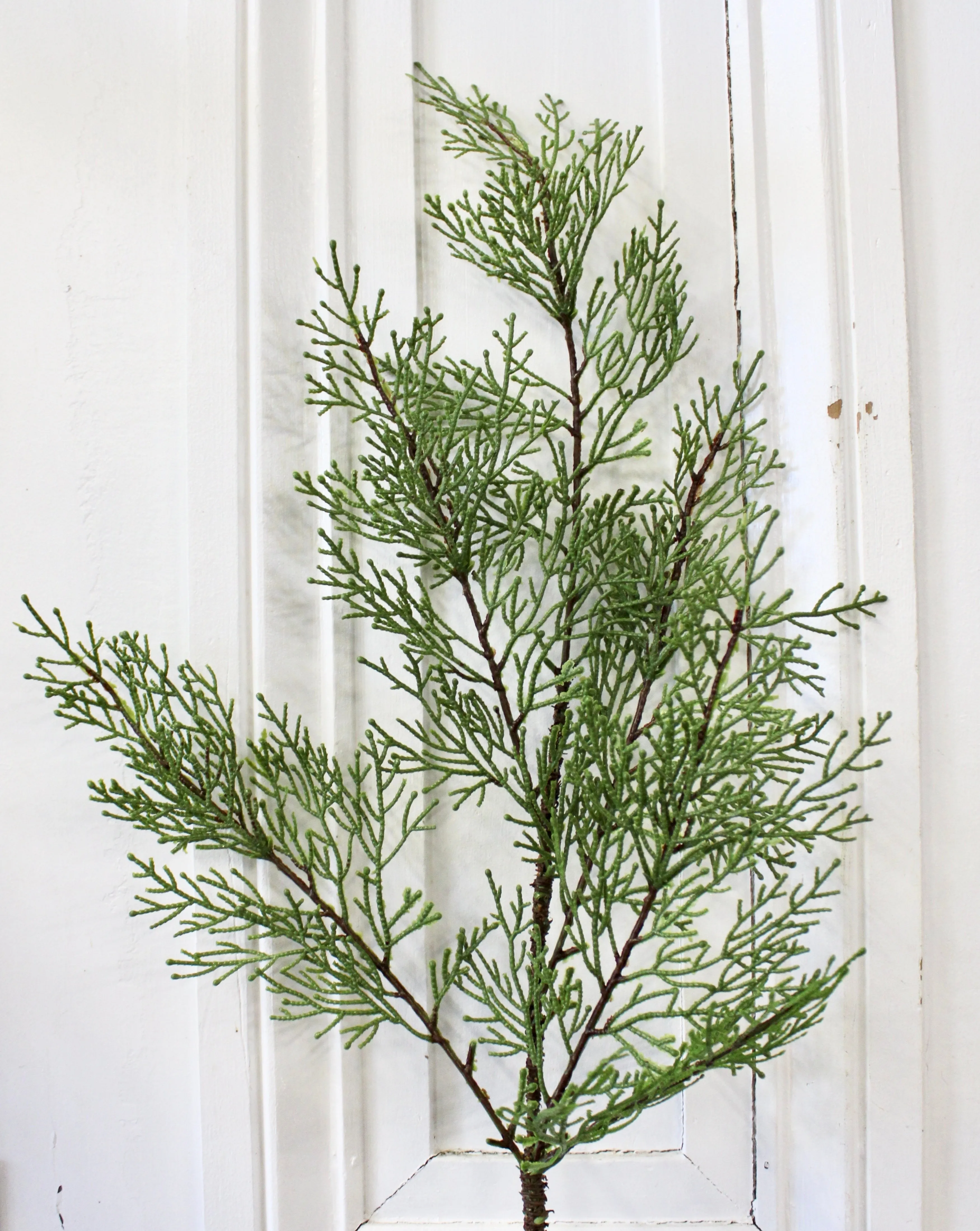 Fresh Cut Cedar Spray